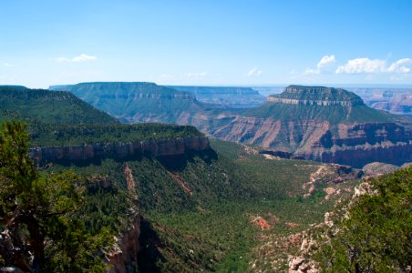 Rainbow Rim Trail