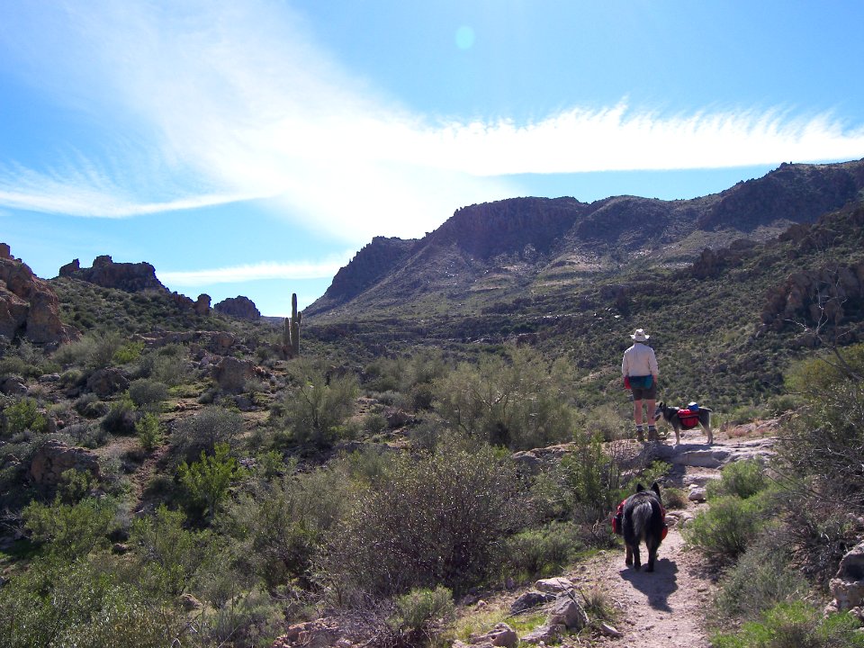 Superstition Wilderness