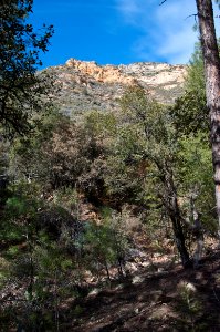 Loy Canyon Trail