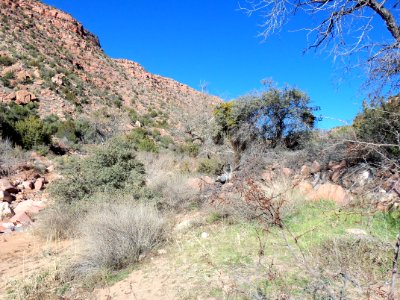 Parsons Trail