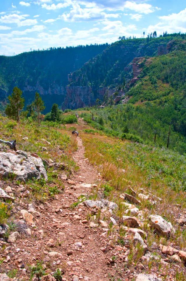 Saddle Mountain Trail