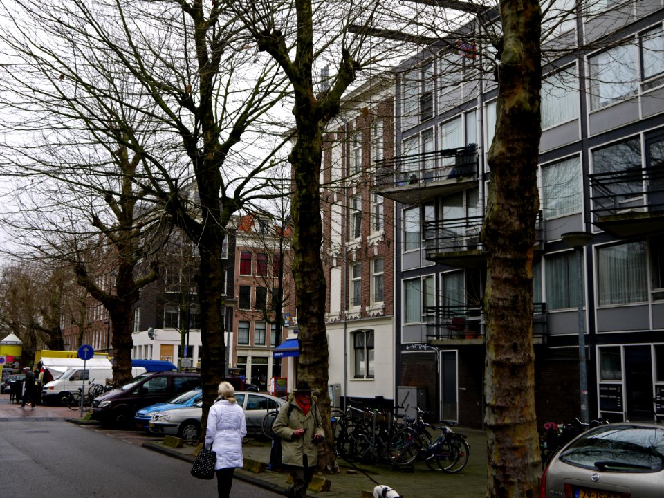 Street-view in the Pieter Vlamingstraat in Amsterdam city, with bare plane trees in December light; Amsterdam city; - urban photography by Fons Heijnsbroek, the Netherlands, 2013
