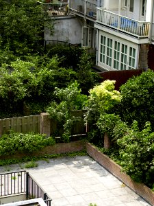 Back-yards and private gardens behind residential blocks built in late 19th century city Amsterdam-South; - urban photography by Fons Heijnsbroek, the Netherlands, 2013