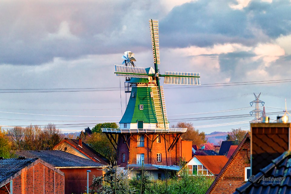 Windmühle in Hollern-Twielenfleth