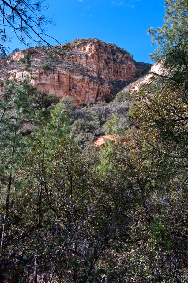Loy Canyon Trail