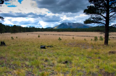 Kendrick Peak