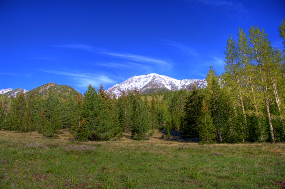 Inner Basin