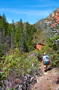 Secret Canyon Trail