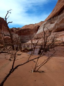 Lake Powell - Davis Gulch 2005