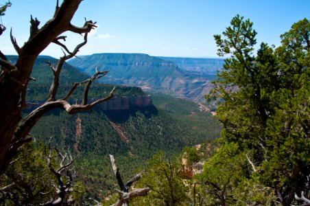 Rainbow Rim Trail