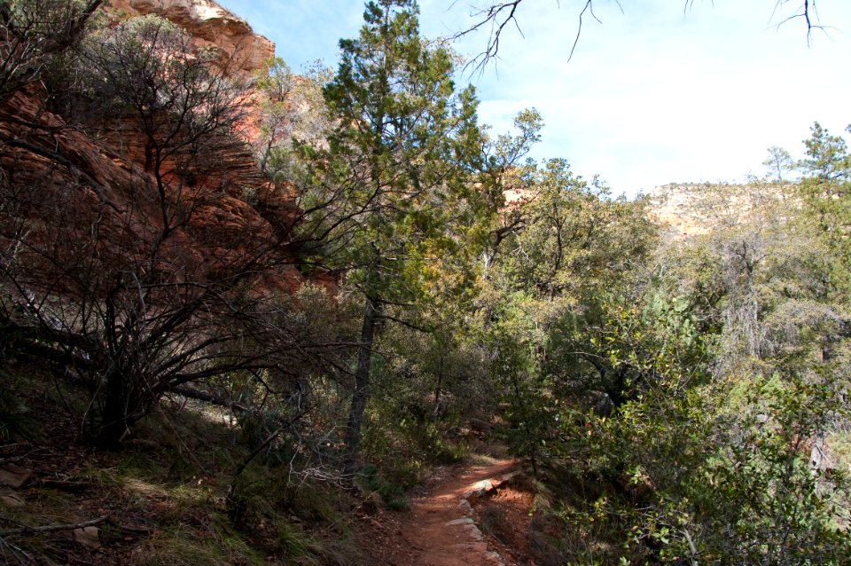 Loy Canyon Trail