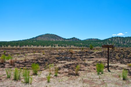 Schultz Fire