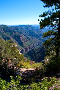 Grand Canyon North Rim photo