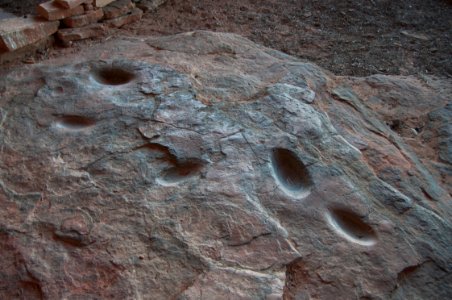 Robbers Roost