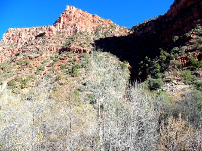 Parsons Trail