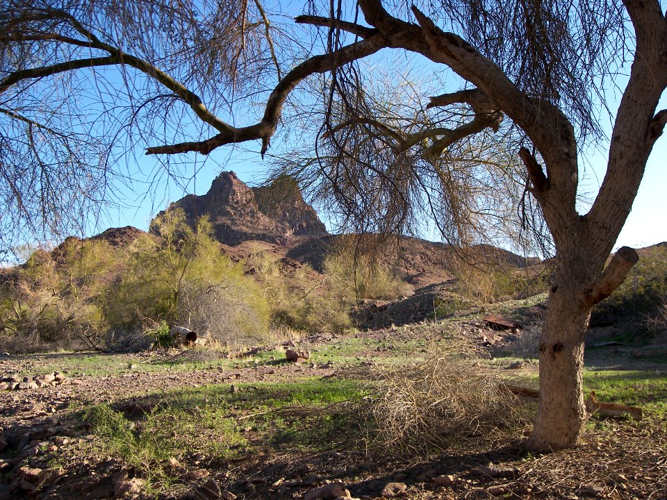Muggins Mountains Wilderness