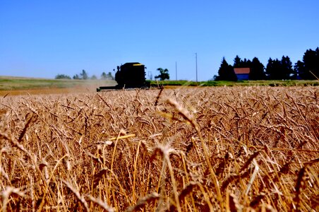 Crop rural blue sky