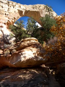 Sam Pollock Arch
