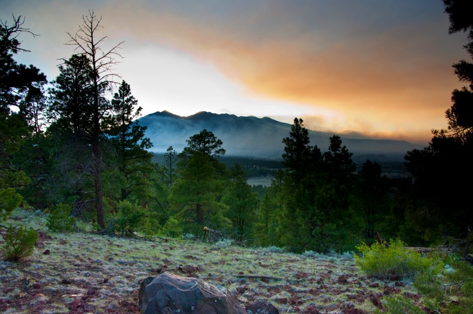 Shultz Fire