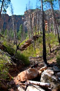 Secret Canyon Trail