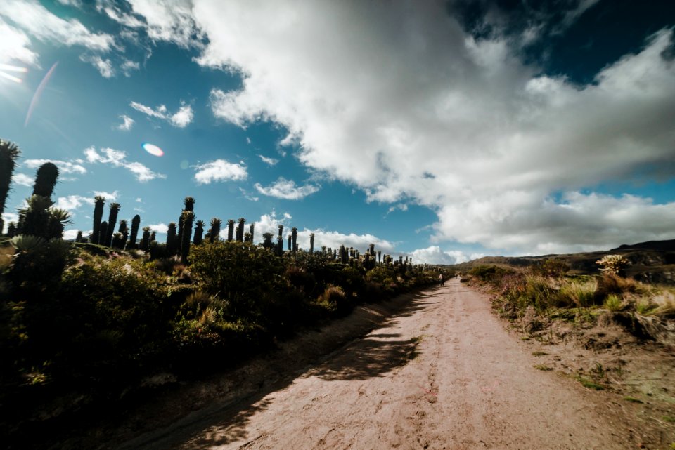 Parque Nacional Natural de los nevados - Laguna del Otun
