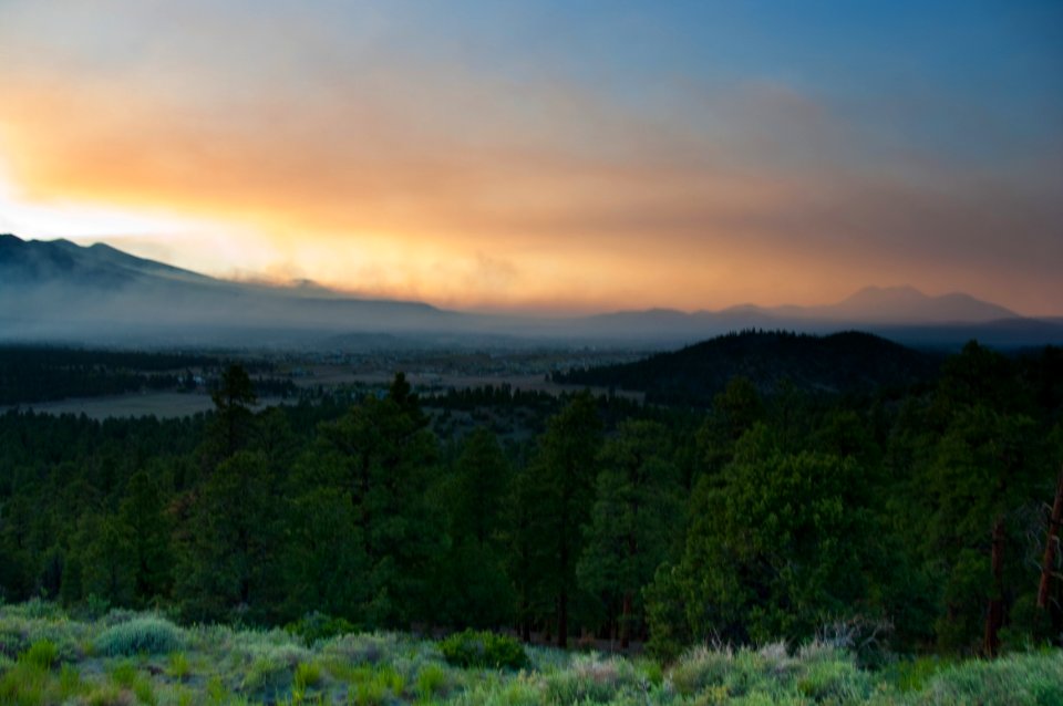 Shultz Fire
