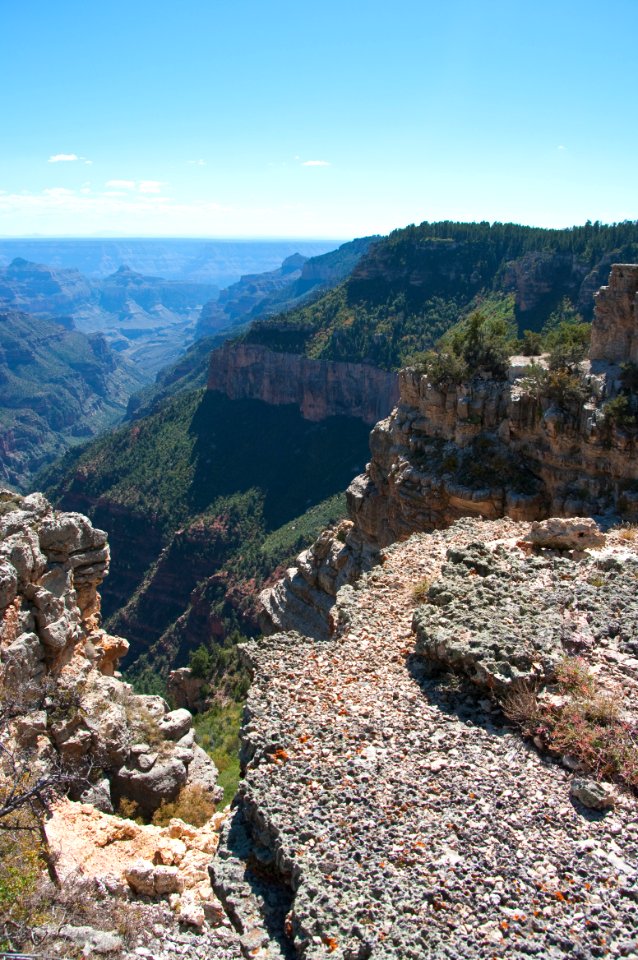 Grand Canyon North Rim photo