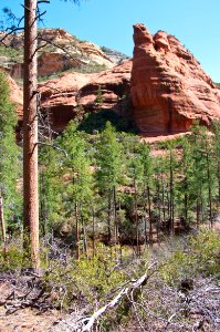 Secret Canyon Trail