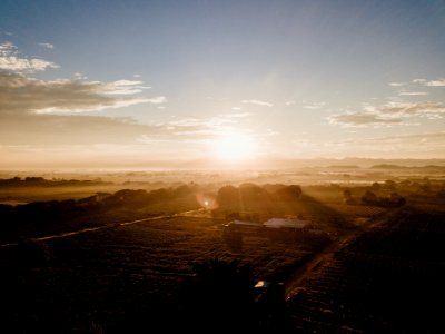 DJI 0019