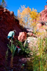 Paria River (side canyon) photo