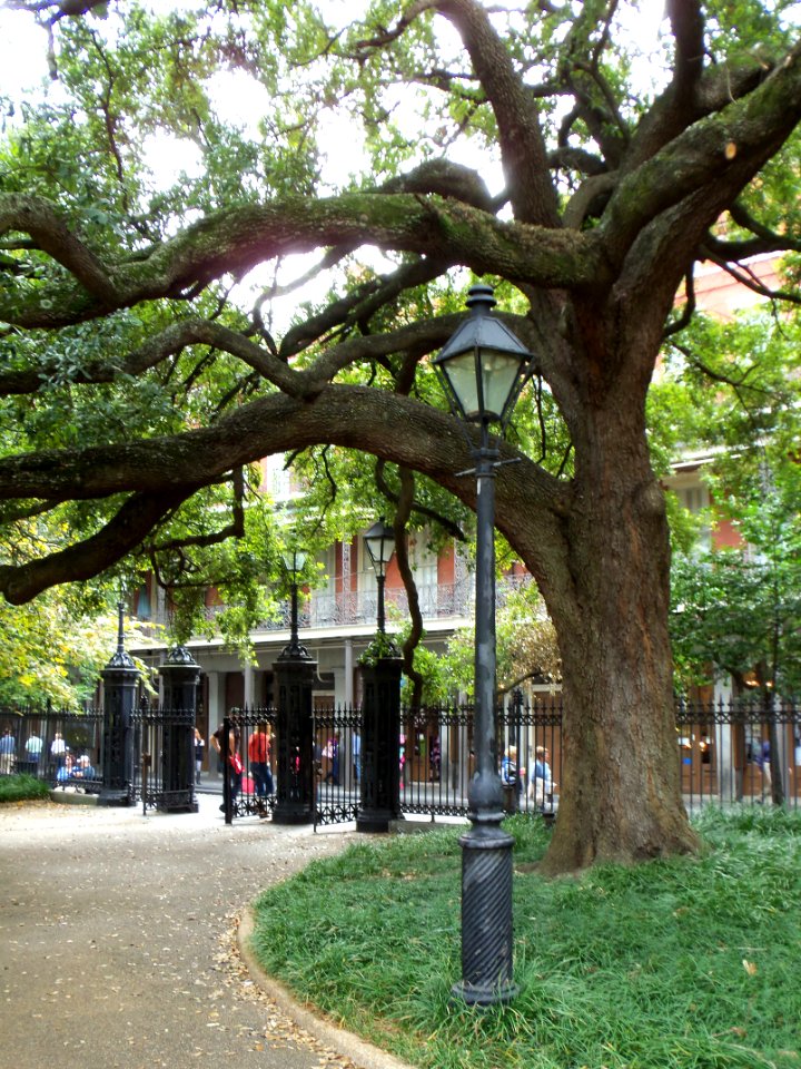 New Orleans