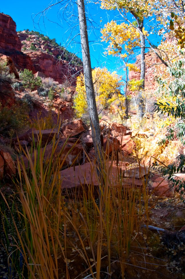 Paria River (side canyon)
