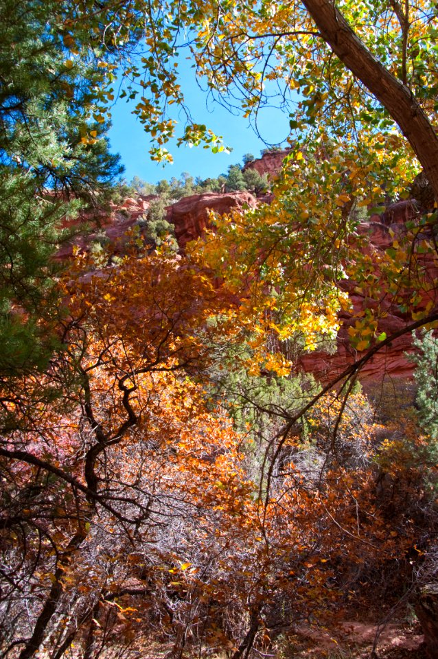 Red Creek