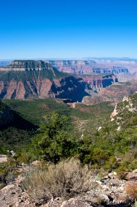 Grand Canyon North Rim photo