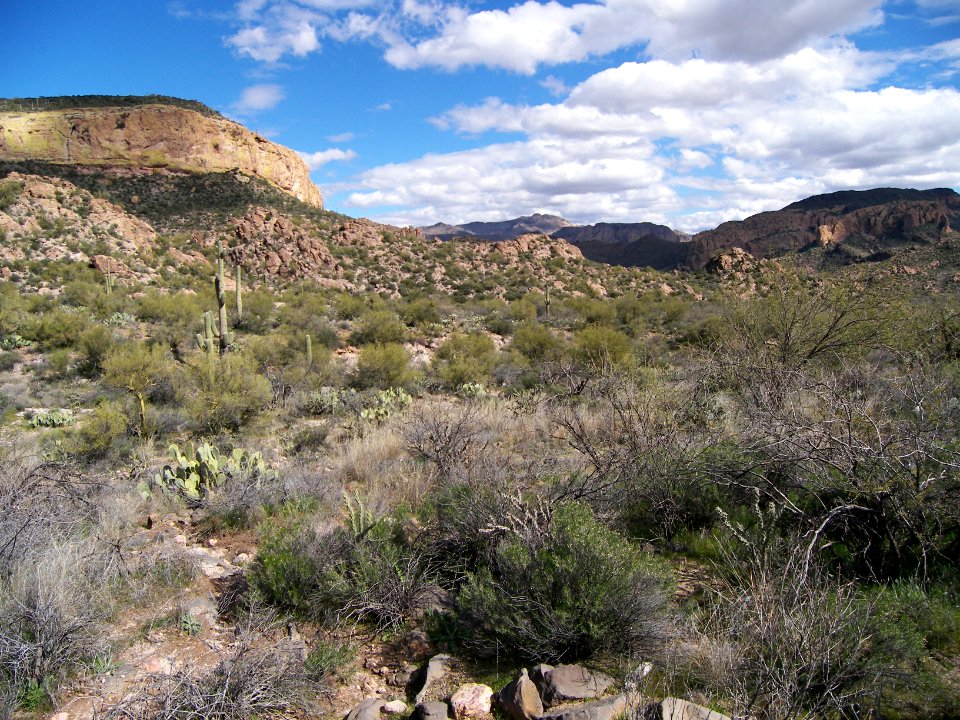 Superstition Wilderness: Dutchmans Trail