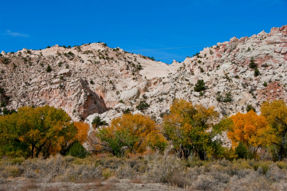 Yellow Rock