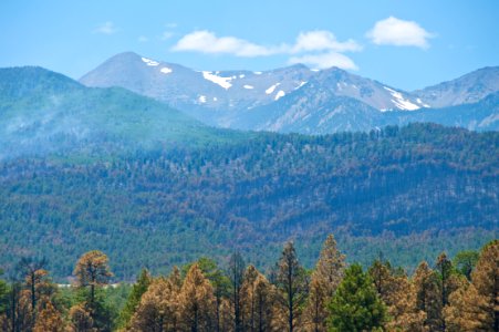 Schultz Fire
