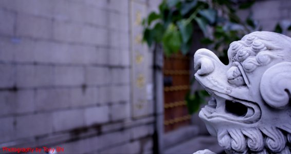上海玉佛寺大門-Shanghai Jade Buddha Temple Gate