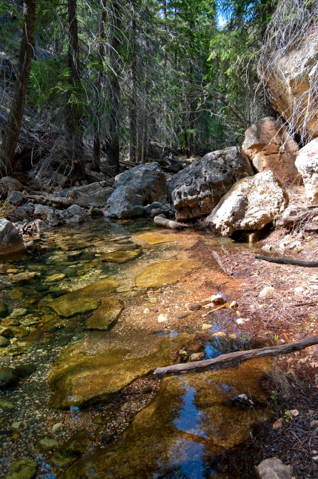 West Fork of Oak Creek