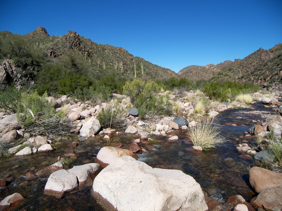 Superstitions: Boulder Canyon