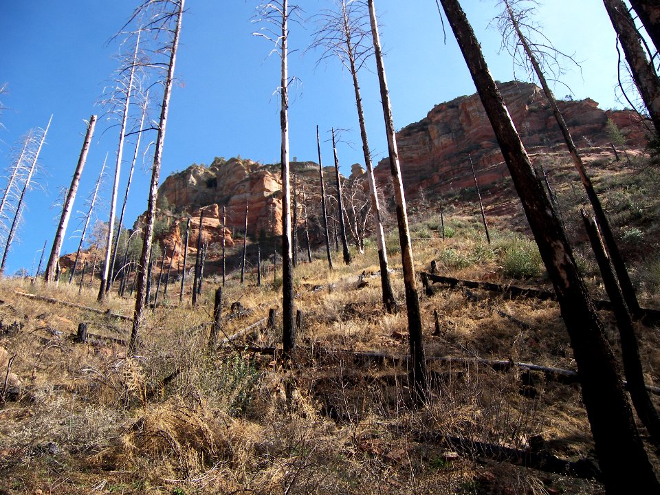 Vultee's Arch-Sterling Pass Trail Hike