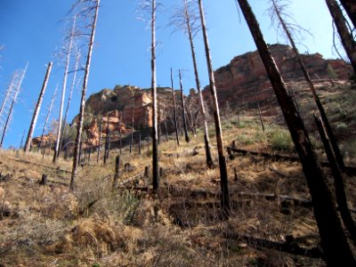 Vultee's Arch-Sterling Pass Trail Hike