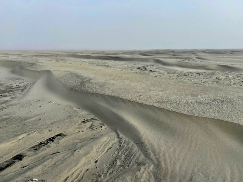 Migrating dunes on South Point