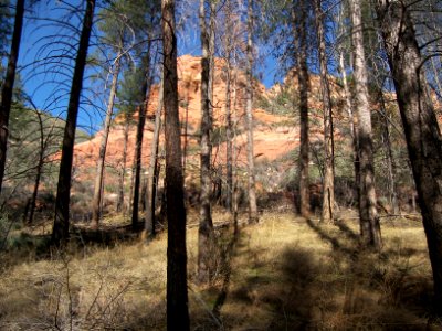 Vultee's Arch-Sterling Pass Trail Hike
