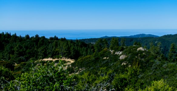 Big Basin Redwoods