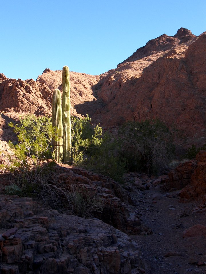Muggins Mountains Wilderness