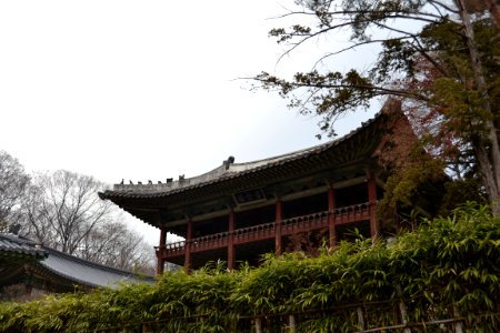 seoul flickr (38)
