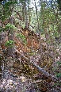 West Fork of Oak Creek