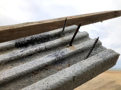 Beach debris between Ramp 49 and Cape Point