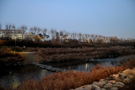 seoul flickr (150)